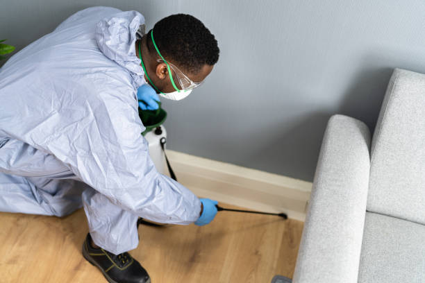 Best Fumigation Services  in Union Gap, WA